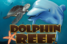 Dolphin Reef